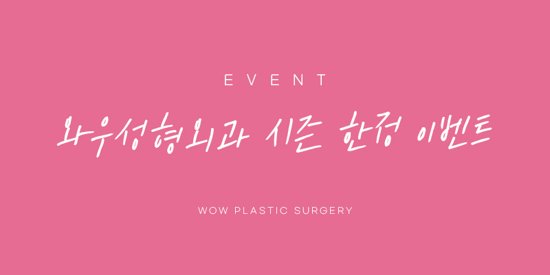 시즌 한정 이벤트